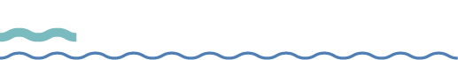 Marine Safety SA logo